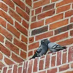 Appartement Arboretum *