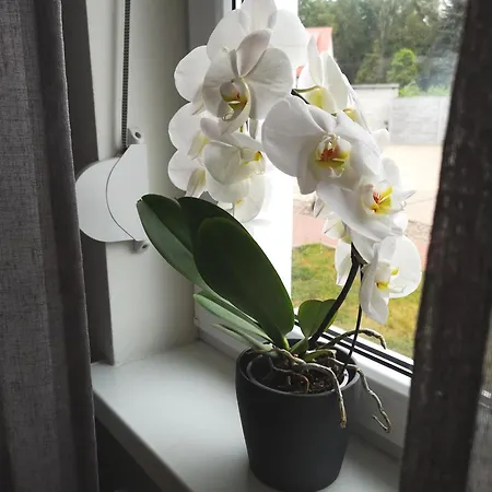 Arboretum Apartment *