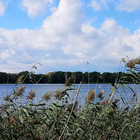 Arboretum Kórnik
