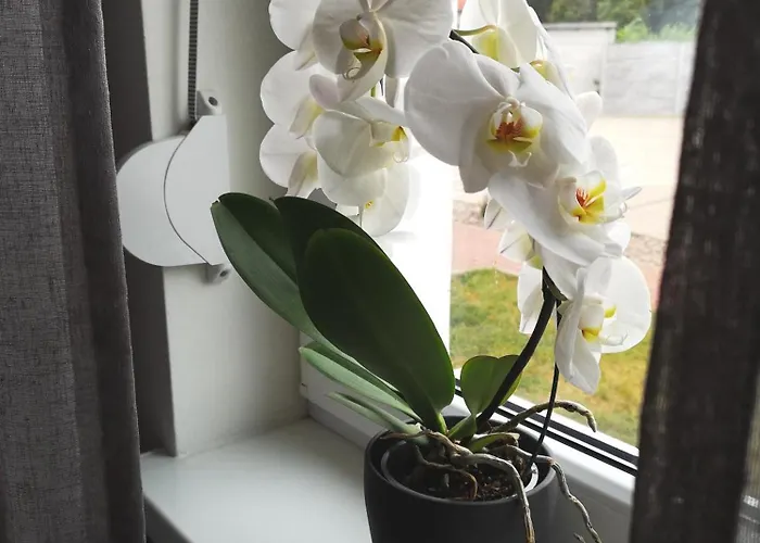 Arboretum Apartment *