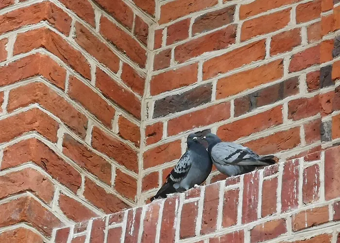 Apartment Arboretum *